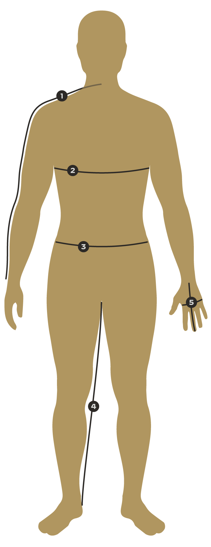 Tuo Size Chart Silhouette Diagram.png