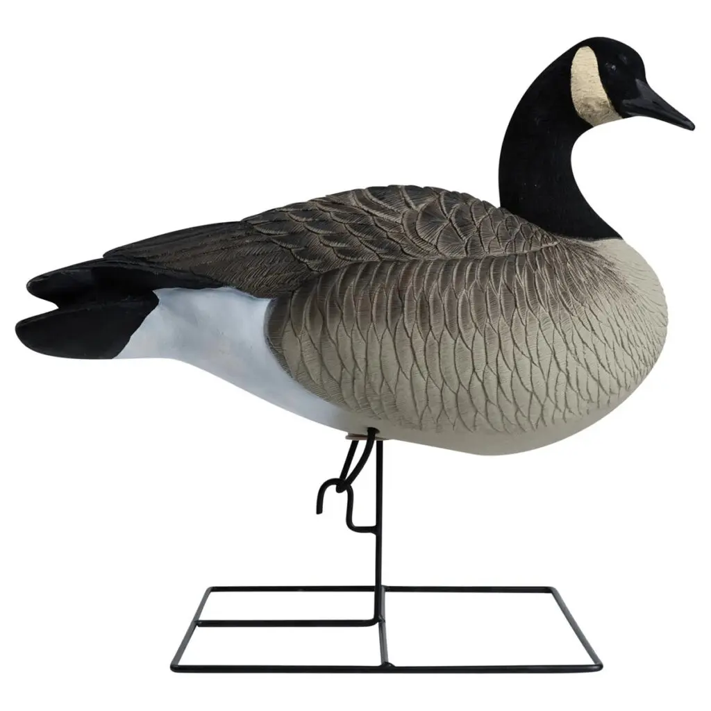 Rugged Series Full Body Canada Goose Touchdown Decoys Flocked Head