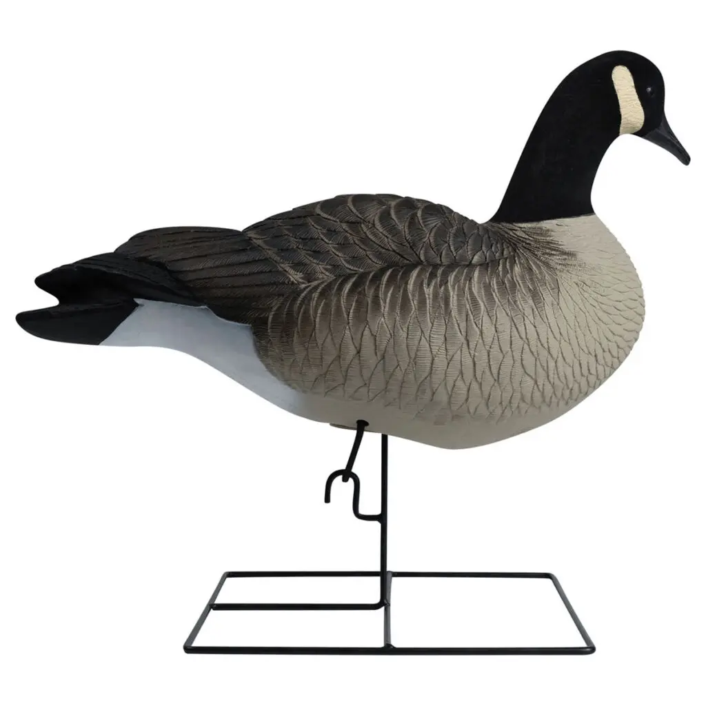 Rugged Series Full Body Canada Goose Touchdown Decoys Flocked Head