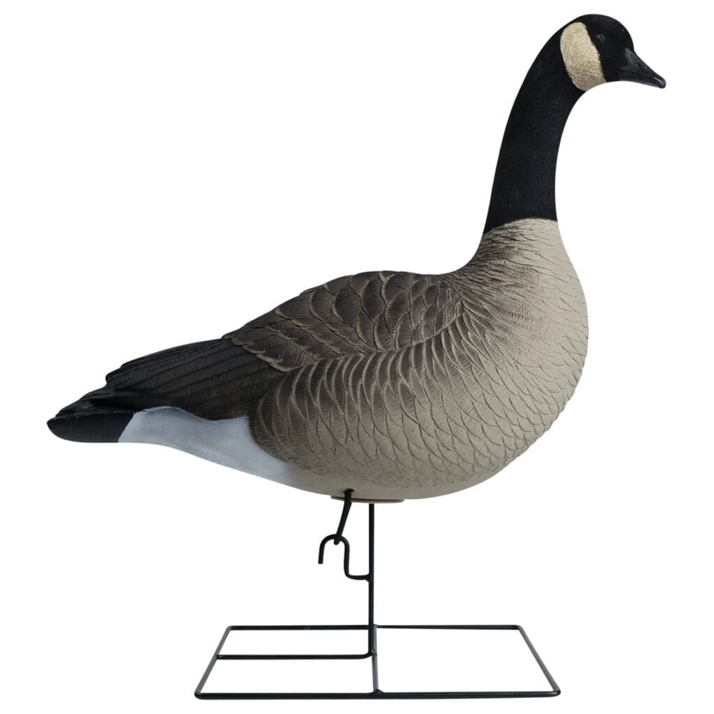 Rugged Series Full Body Canada Goose Touchdown Decoys Flocked Head
