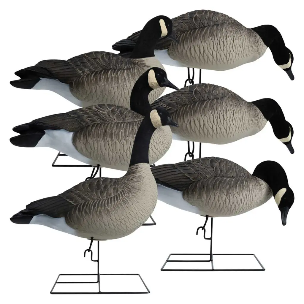 Rugged Series Full Body Canada Goose Touchdown Decoys Flocked Head