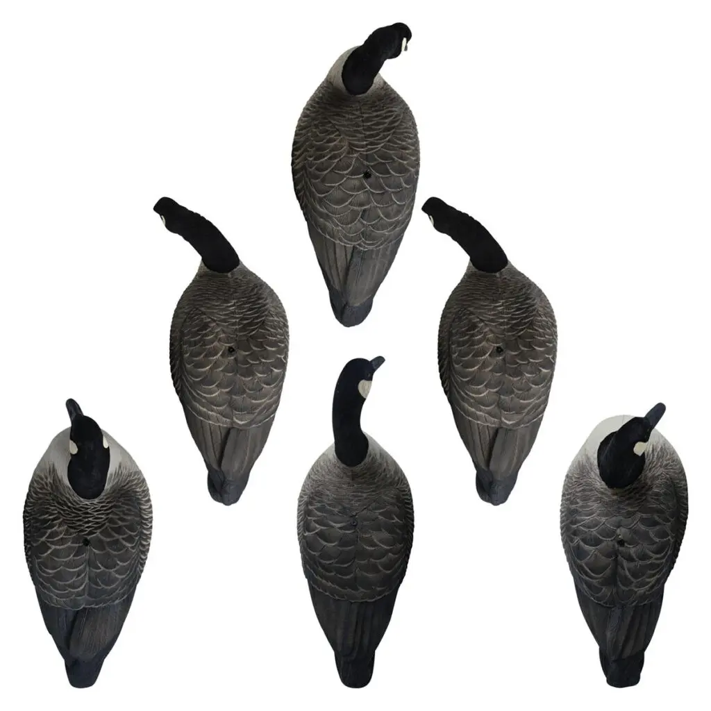 Rugged Series Full Body Canada Goose Touchdown Decoys Flocked Head