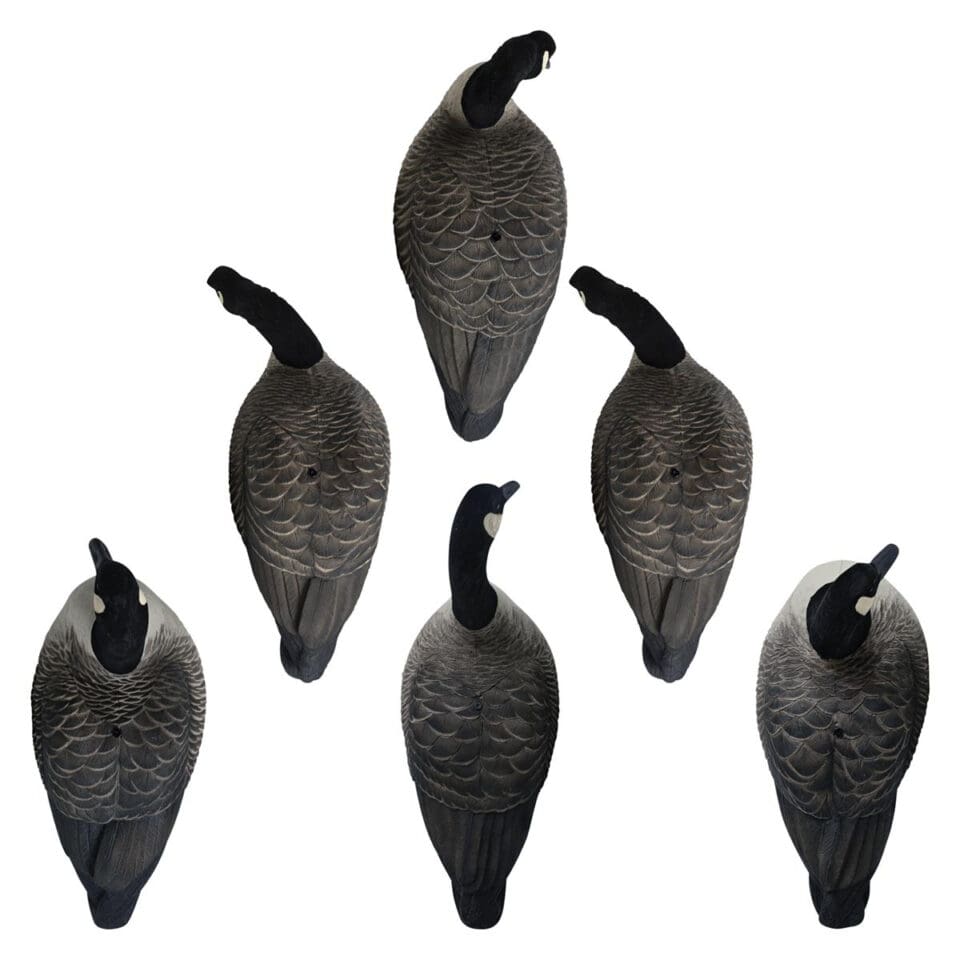 Rugged Series Full Body Canada Goose Touchdown Decoys Flocked Head Hardcore™ Waterfowl