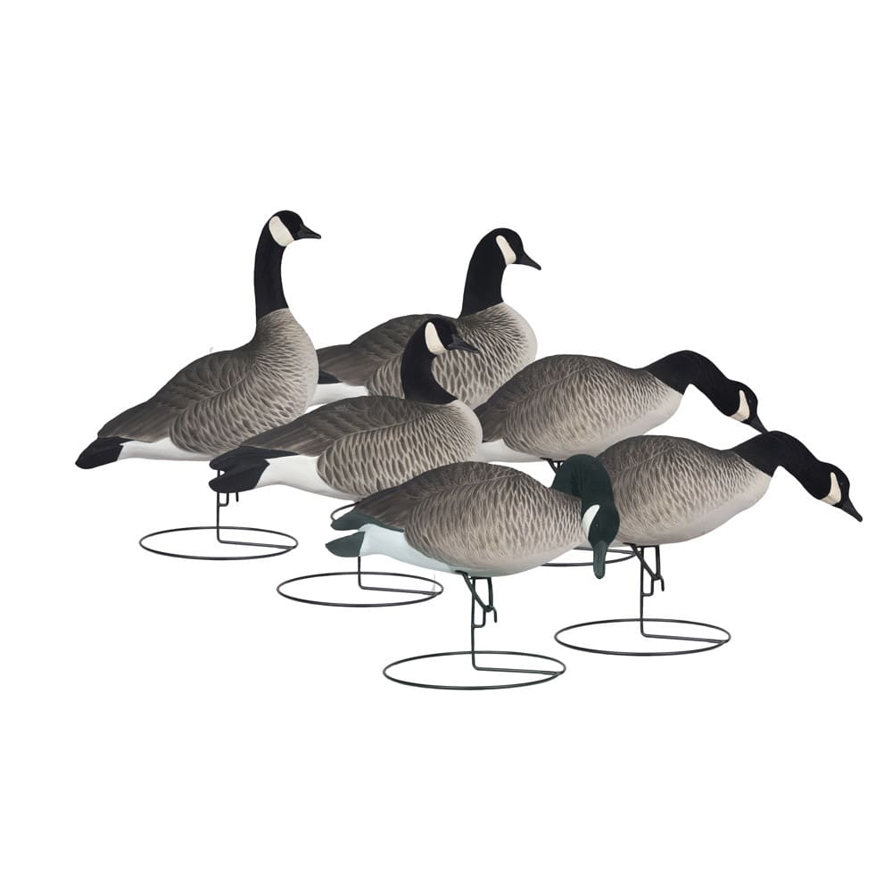 Rugged Series Full Body Canada Goose Touchdown Decoys Flocked Head