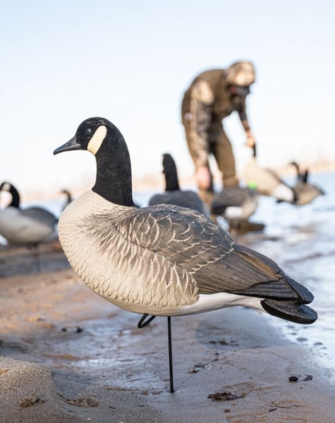 full body canada goose decoy close up