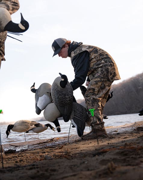Rugged Series Full Body Canada Goose Touchdown Decoys - Flocked