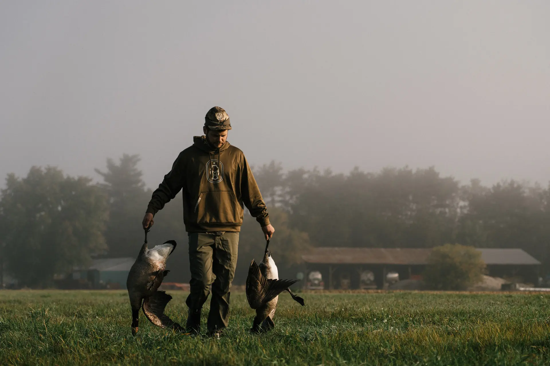 goose hunting in field
