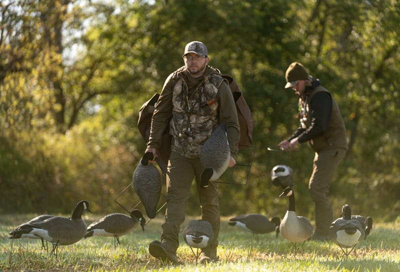 canada goose hunting tips for any season
