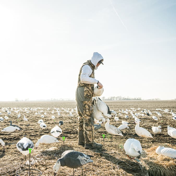 snow goose decoy spread in Missouri