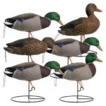Rugged Series Full Body Mallard Decoys