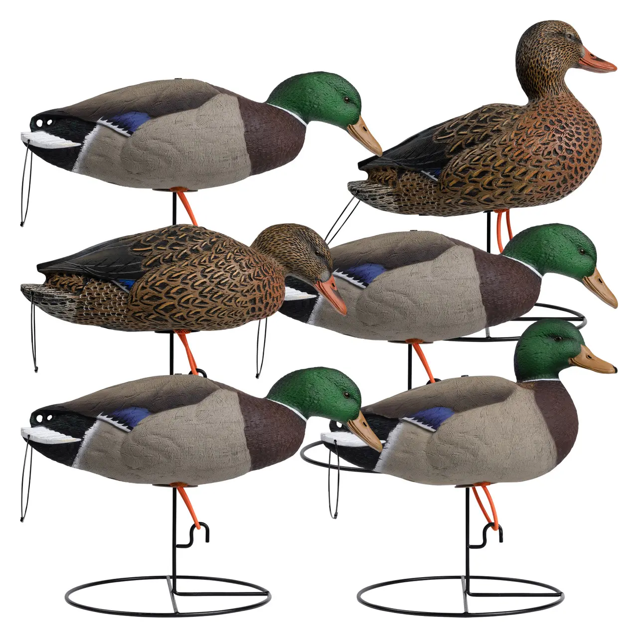 Rugged Series Full Body Mallard Decoys