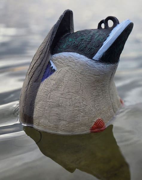 duck butt decoy in the water