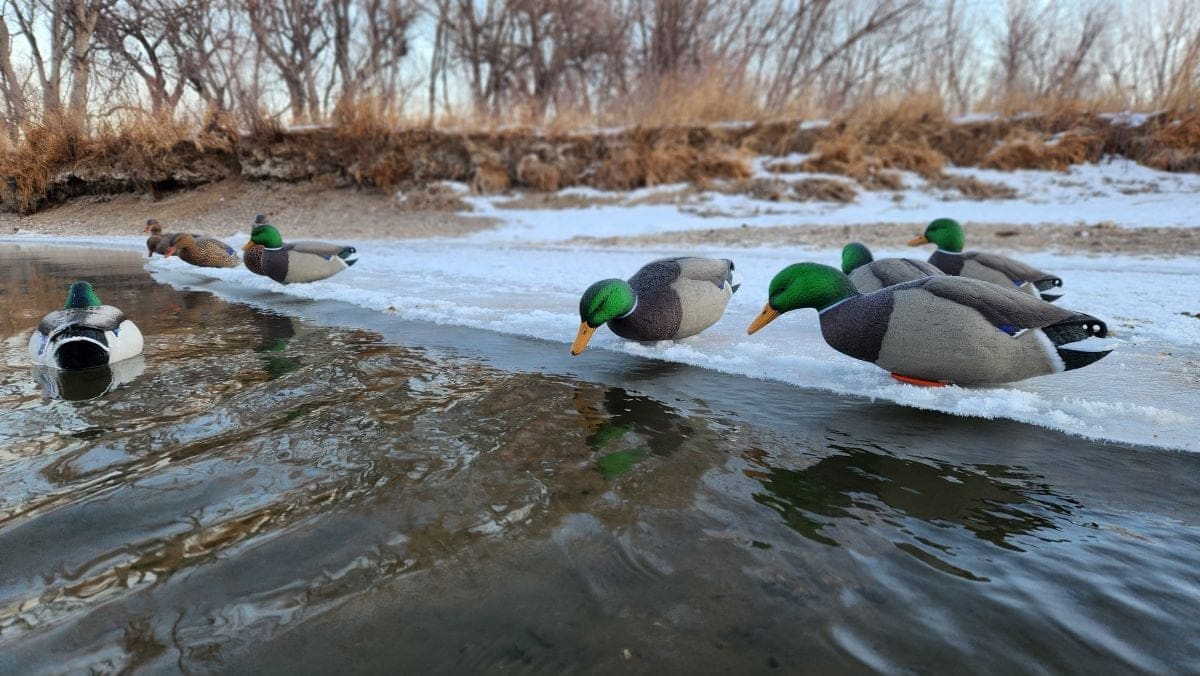 A Better Bitter End | Hardcore™ Waterfowl