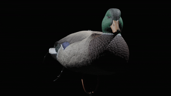 Full Body Mallard Duck Decoy Single