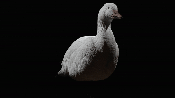 Rugged Series Snow Full Body Single