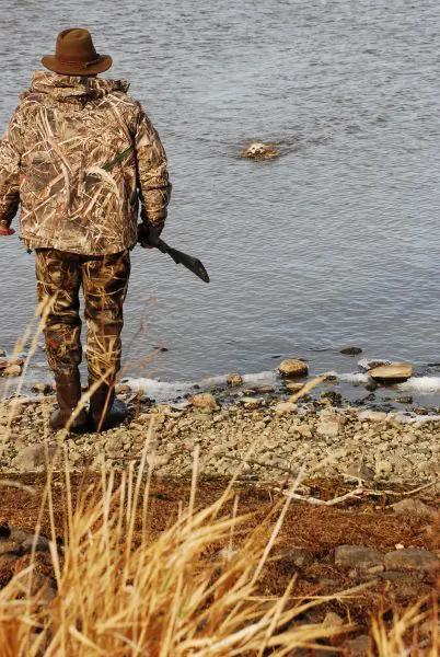 Giddy About Gadwall