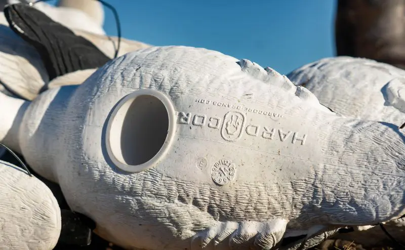 Meet The Future Of Snow Goose Hunting