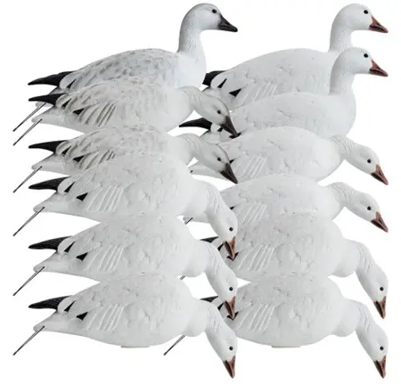 Meet The Future Of Snow Goose Hunting
