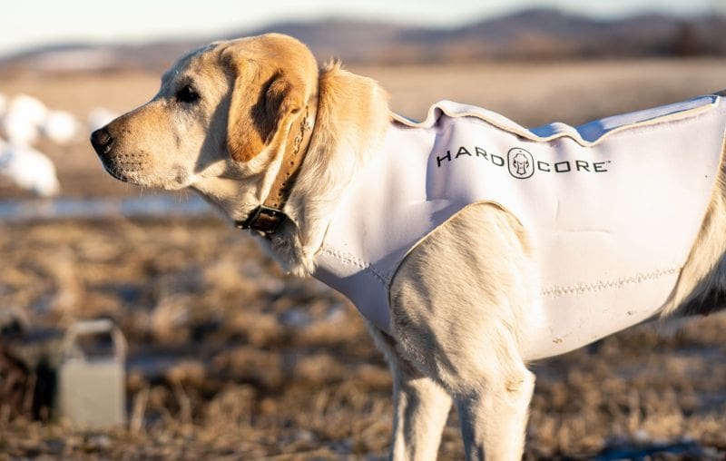 Meet The Future Of Snow Goose Hunting