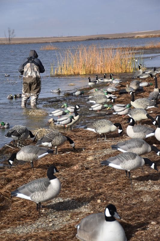 E –hunting North Dakota