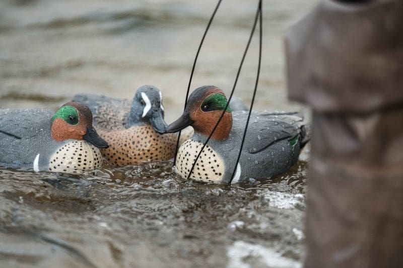 First Ducks In, First Ducks Down
