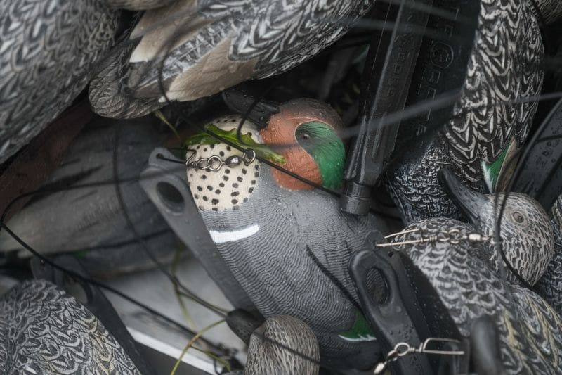 First Ducks In, First Ducks Down