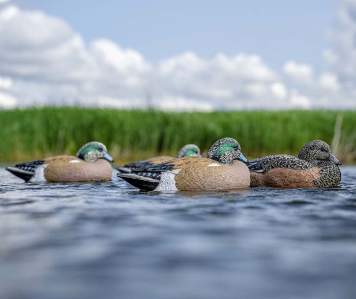 Deserving Of A Spot In Your Decoy Spread