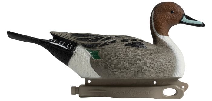 Some Ducks Are Meant To Be Displayed