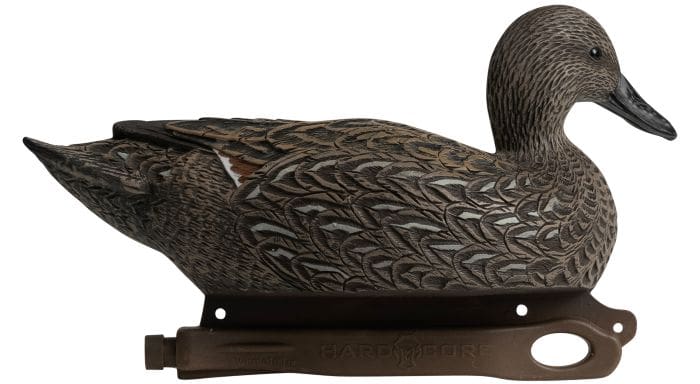 Some Ducks Are Meant To Be Displayed