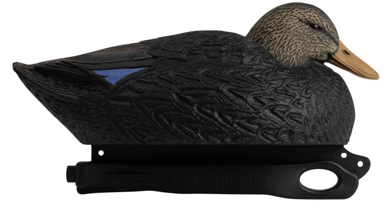 A Duck Worth Talking About