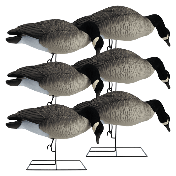 full body canada feeder decoys