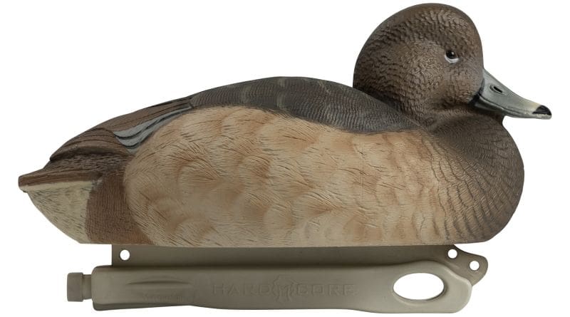 The Duck That Steals The Room