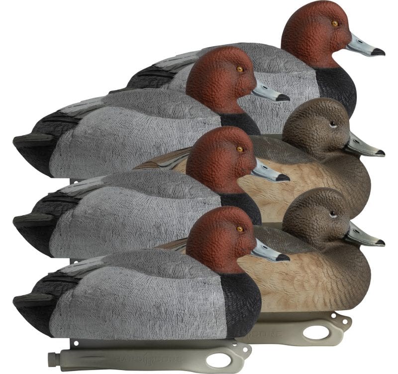 The Duck That Steals The Room