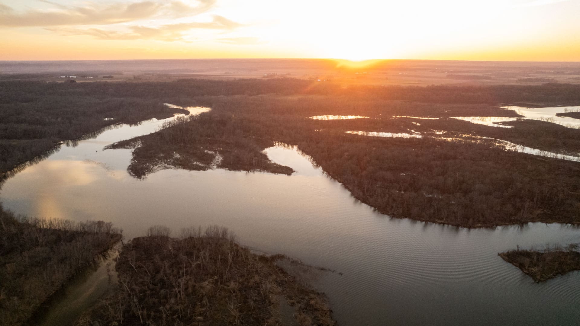 Aerial view of river backwaters and flooded timber at sunrise
