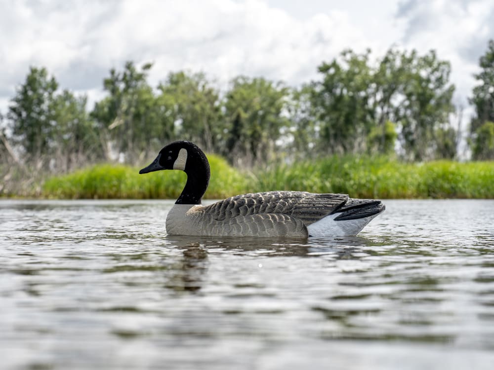 Hardcore Rugged Series Canada goose floater decoy on the water