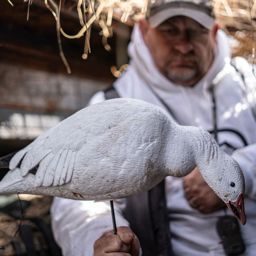 Hunter in white holding a Hardcore snow goose decoy inside a brushed-in blind