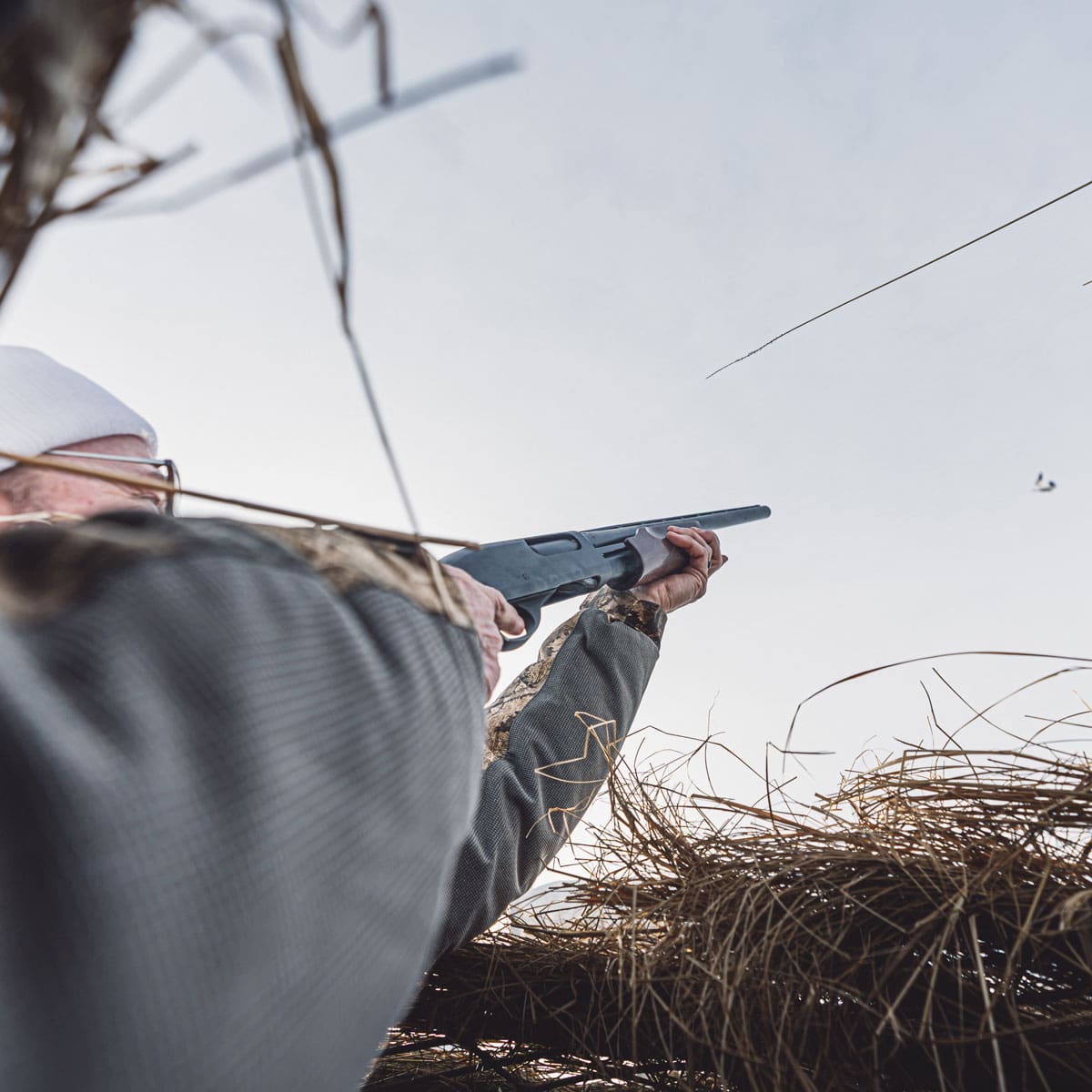 Hunter shooting from a brushed-in blind in a snow goose spread