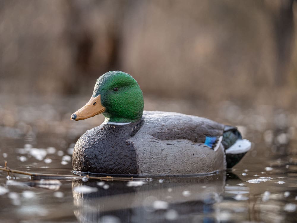 Hardcore Rugged Series Mallard Magnum drake decoy on the water
