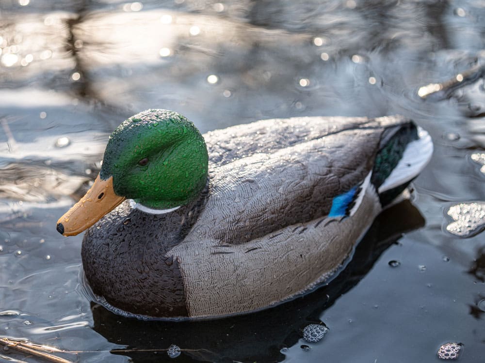 Hardcore Rugged Series Mallard Magnum Redlegs duck decoys with flocked heads
