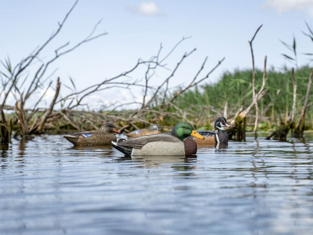 Hardcore Rugged Series Marsh Pack mallard, wood duck and wigeon decoys on marsh water