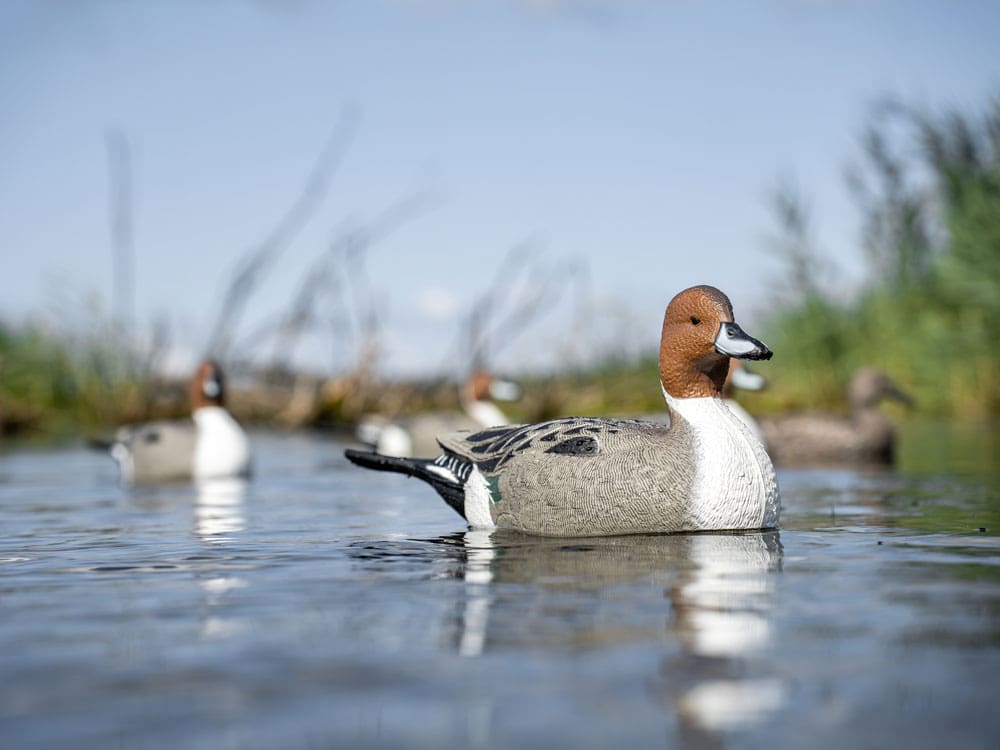 Hardcore Rugged Series pintail drake decoy on the water