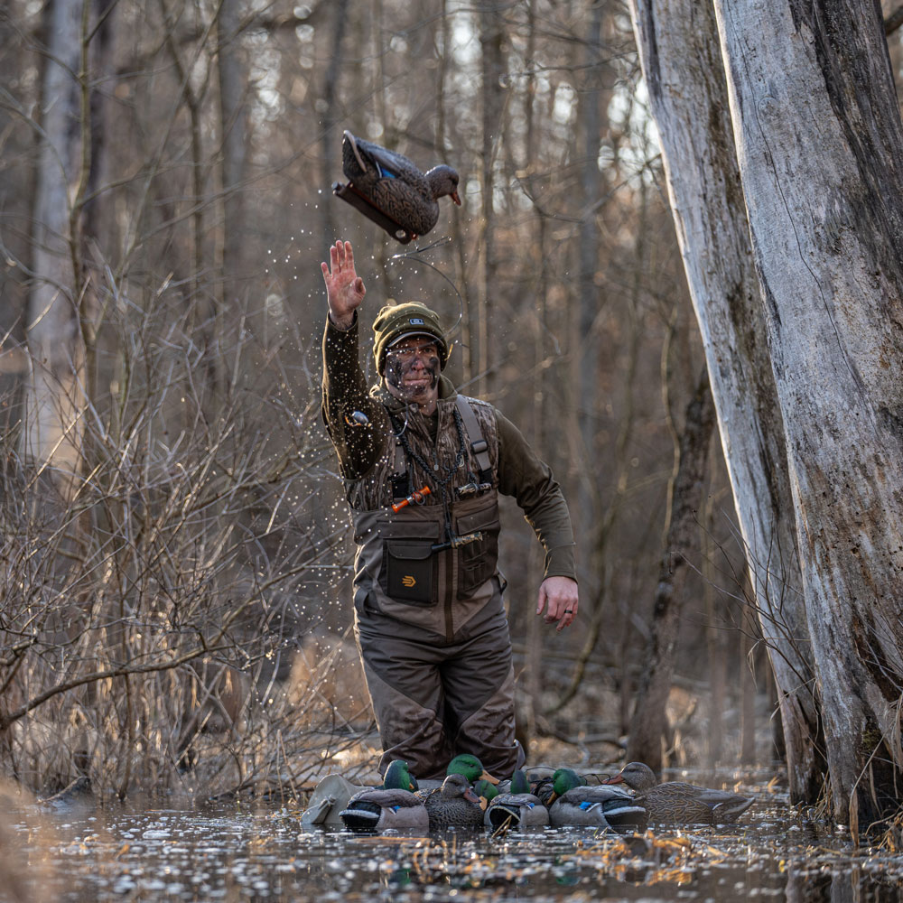 Hunter tossing a mallard decoy into flooded timber