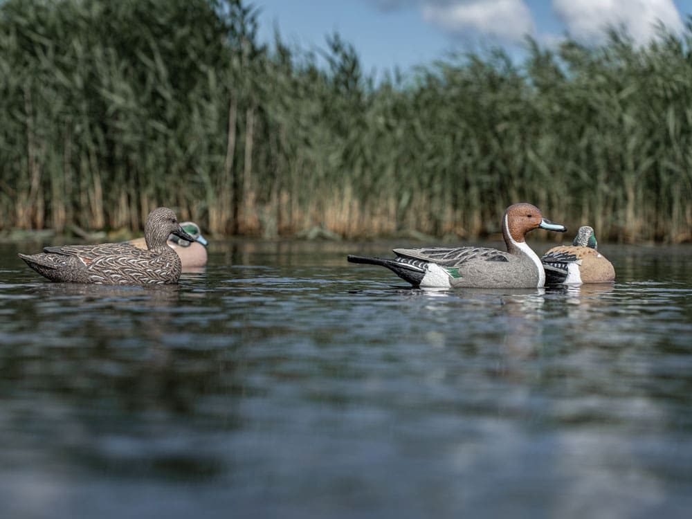 Hardcore Rugged Series pintail and wigeon decoys from the Whistler Pack