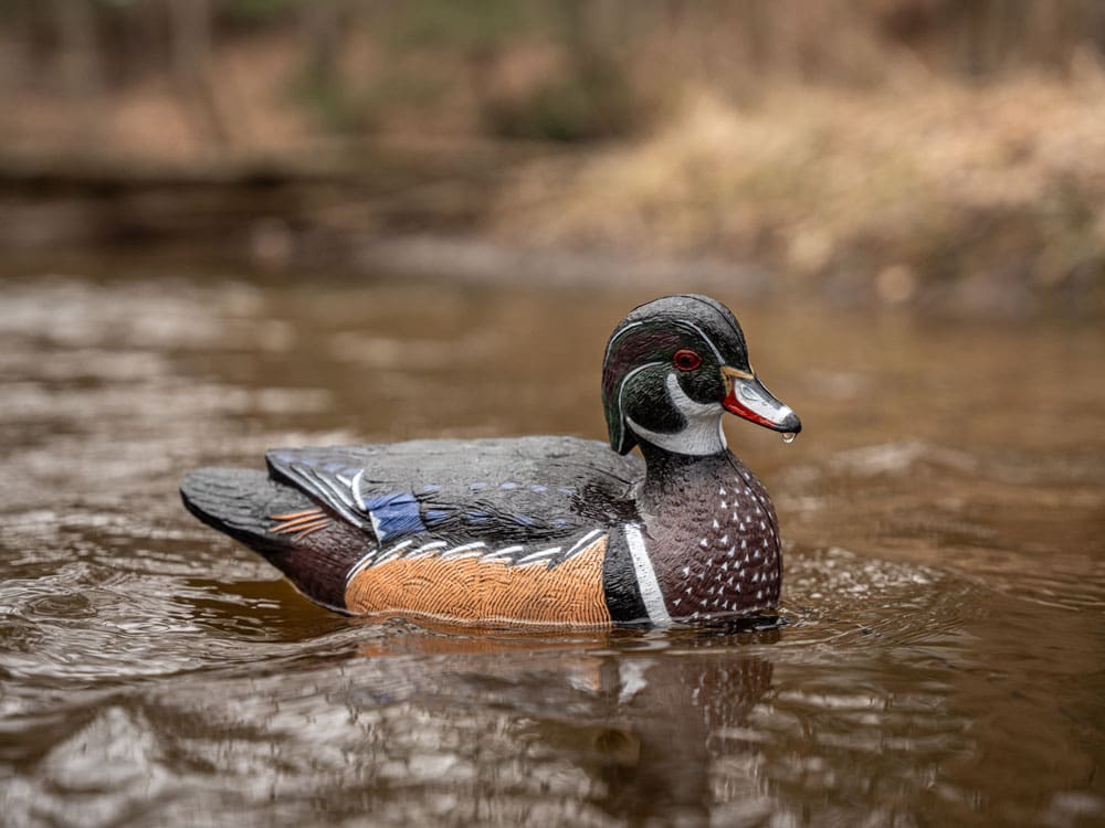 Hardcore Rugged Series wood duck drake decoy on a timber creek